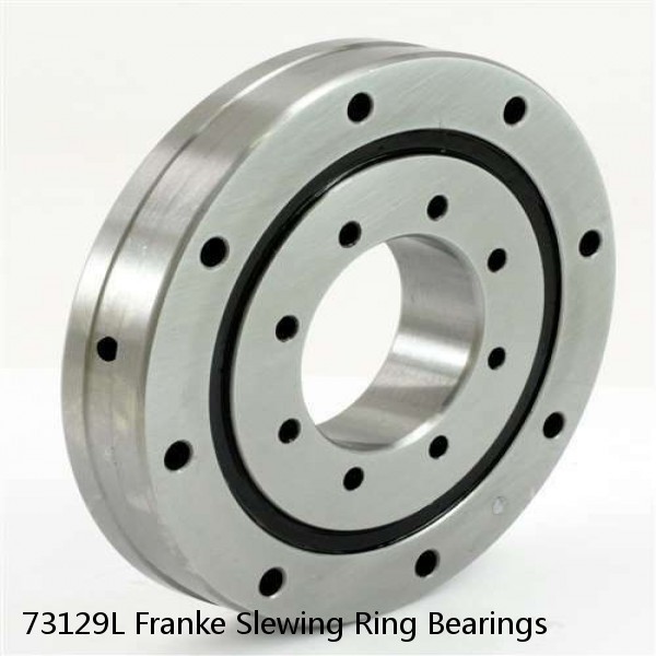 73129L Franke Slewing Ring Bearings