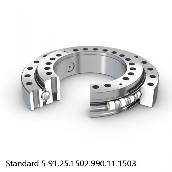 91.25.1502.990.11.1503 Standard 5 Slewing Ring Bearings