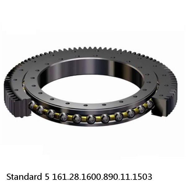 161.28.1600.890.11.1503 Standard 5 Slewing Ring Bearings