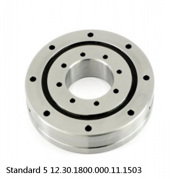 12.30.1800.000.11.1503 Standard 5 Slewing Ring Bearings