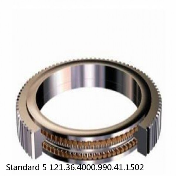 121.36.4000.990.41.1502 Standard 5 Slewing Ring Bearings