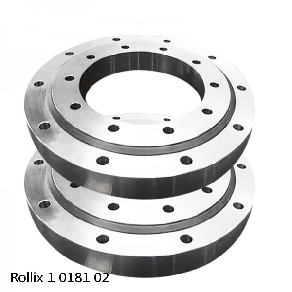 1 0181 02 Rollix Slewing Ring Bearings