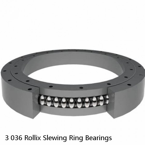 3 036 Rollix Slewing Ring Bearings