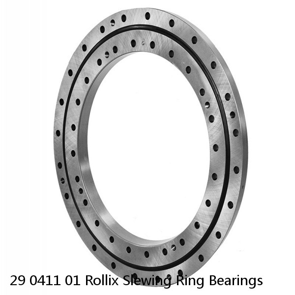 29 0411 01 Rollix Slewing Ring Bearings