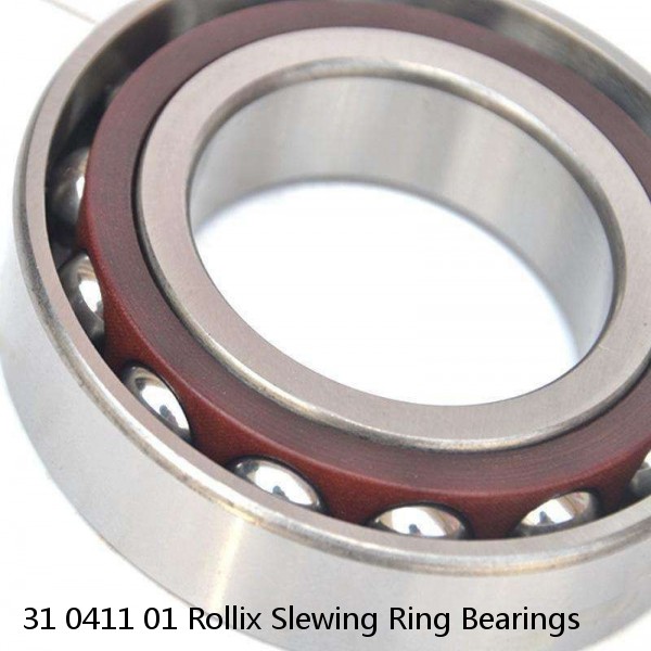 31 0411 01 Rollix Slewing Ring Bearings