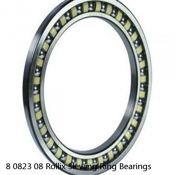 8 0823 08 Rollix Slewing Ring Bearings