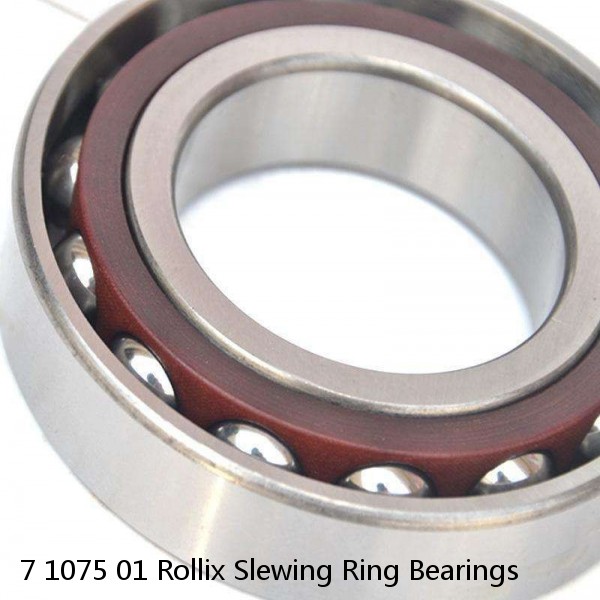 7 1075 01 Rollix Slewing Ring Bearings