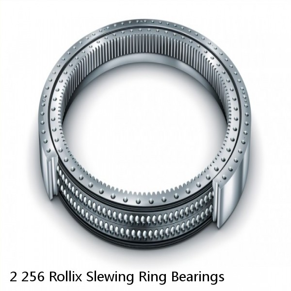 2 256 Rollix Slewing Ring Bearings