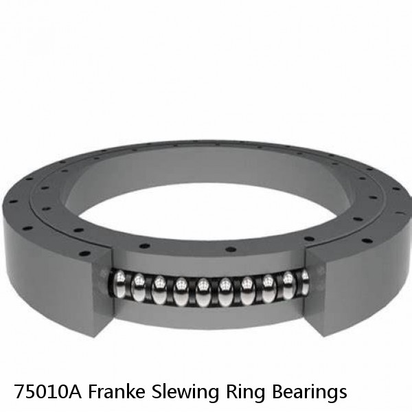 75010A Franke Slewing Ring Bearings