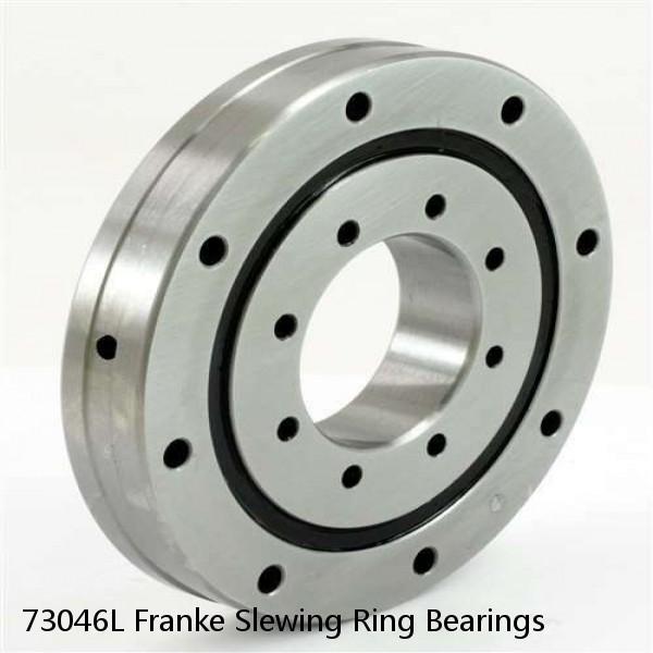 73046L Franke Slewing Ring Bearings