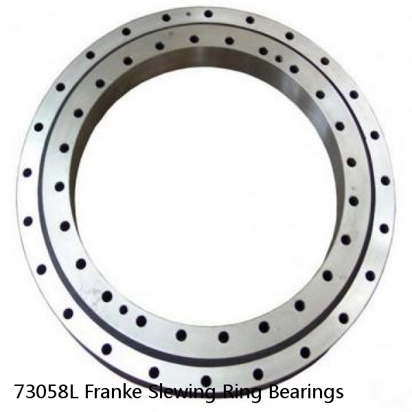 73058L Franke Slewing Ring Bearings