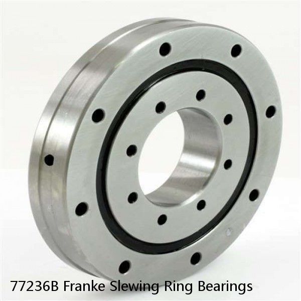 77236B Franke Slewing Ring Bearings