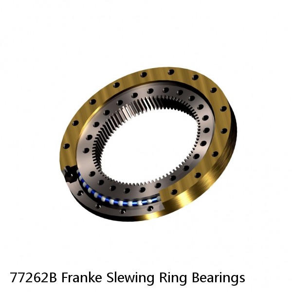 77262B Franke Slewing Ring Bearings