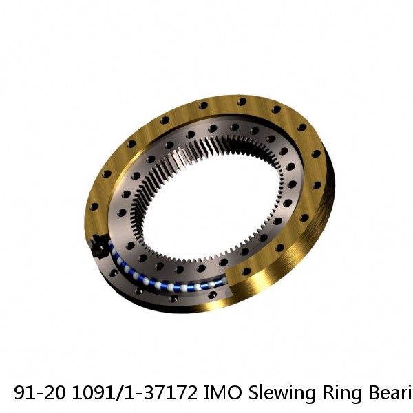 91-20 1091/1-37172 IMO Slewing Ring Bearings