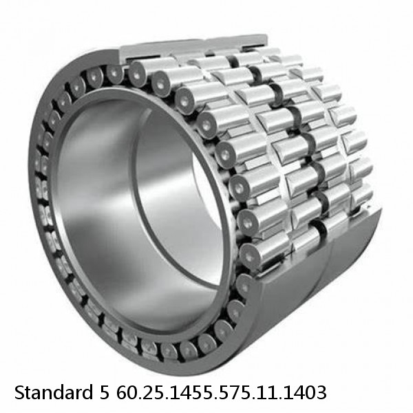 60.25.1455.575.11.1403 Standard 5 Slewing Ring Bearings