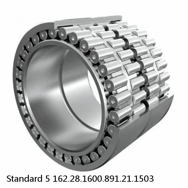 162.28.1600.891.21.1503 Standard 5 Slewing Ring Bearings