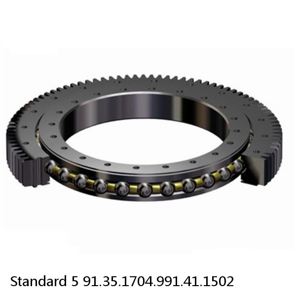 91.35.1704.991.41.1502 Standard 5 Slewing Ring Bearings