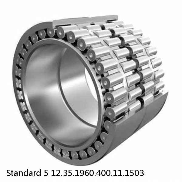 12.35.1960.400.11.1503 Standard 5 Slewing Ring Bearings