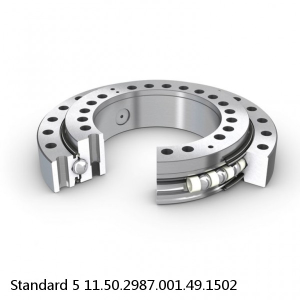 11.50.2987.001.49.1502 Standard 5 Slewing Ring Bearings