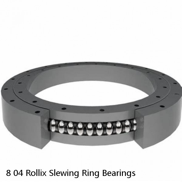 8 04 Rollix Slewing Ring Bearings