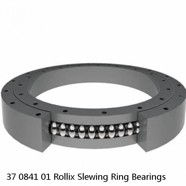 37 0841 01 Rollix Slewing Ring Bearings