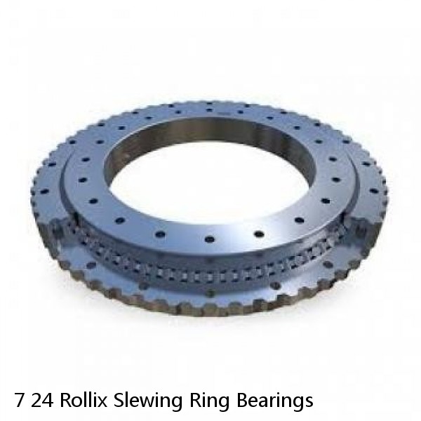 7 24 Rollix Slewing Ring Bearings