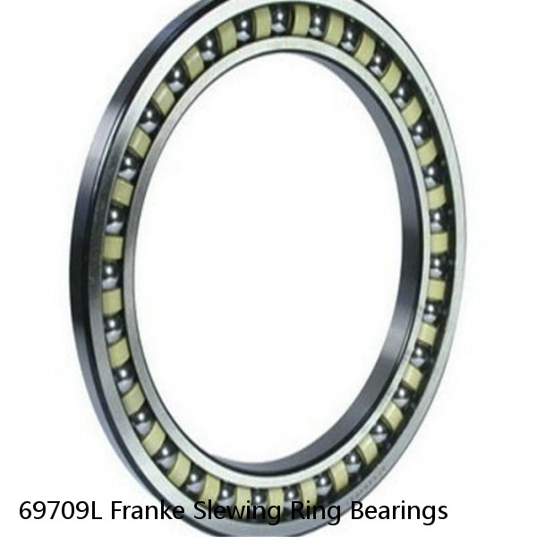 69709L Franke Slewing Ring Bearings
