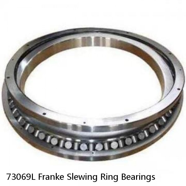 73069L Franke Slewing Ring Bearings