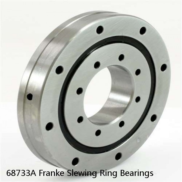 68733A Franke Slewing Ring Bearings