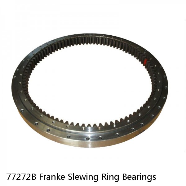 77272B Franke Slewing Ring Bearings