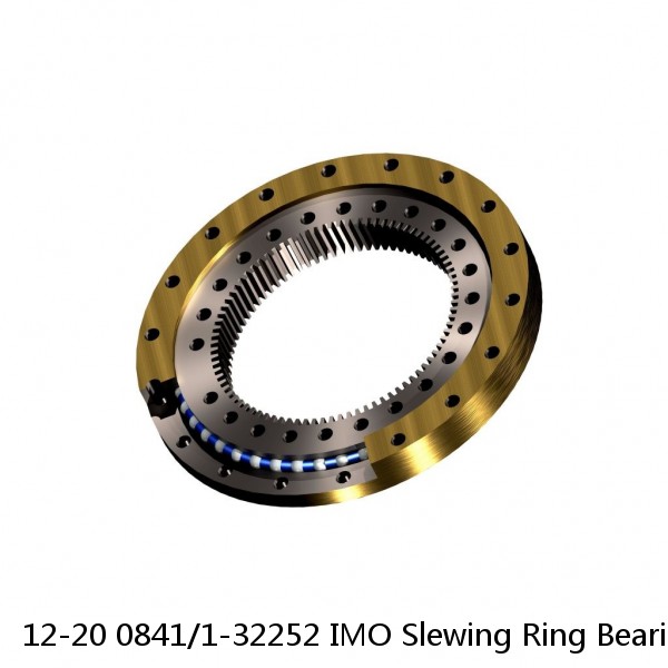 12-20 0841/1-32252 IMO Slewing Ring Bearings